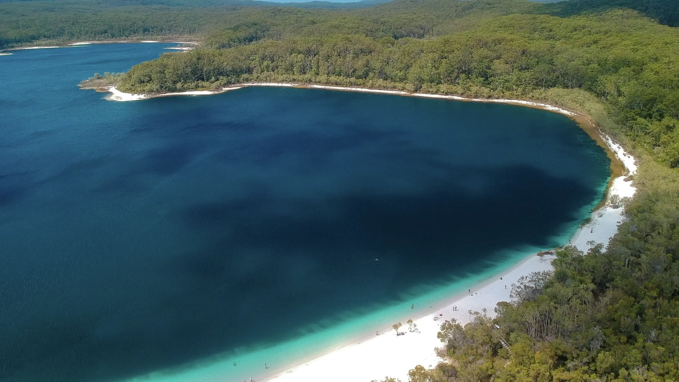 Aerial shot of four people floating in bright blue Lake McKenzie with white sand shore and thick trees in the background. Image credit: Tourism and Events Queensland