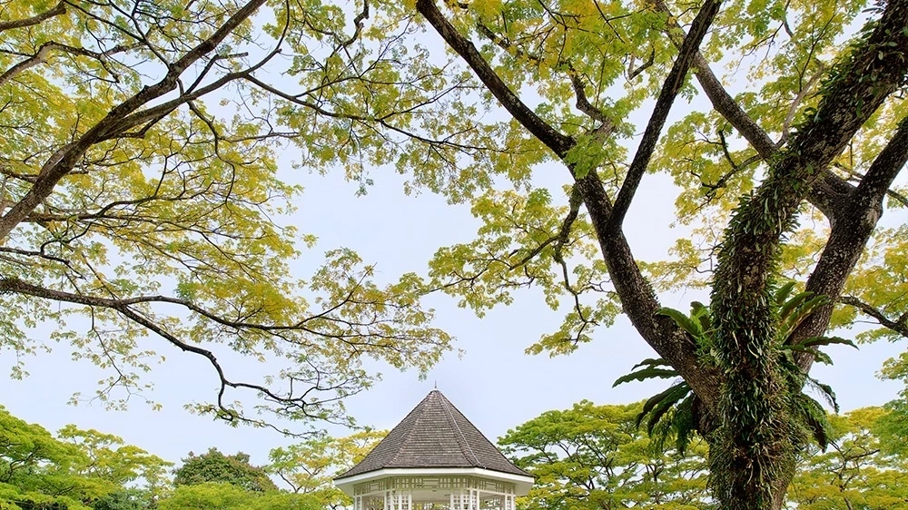 Singapore Botanic Garden