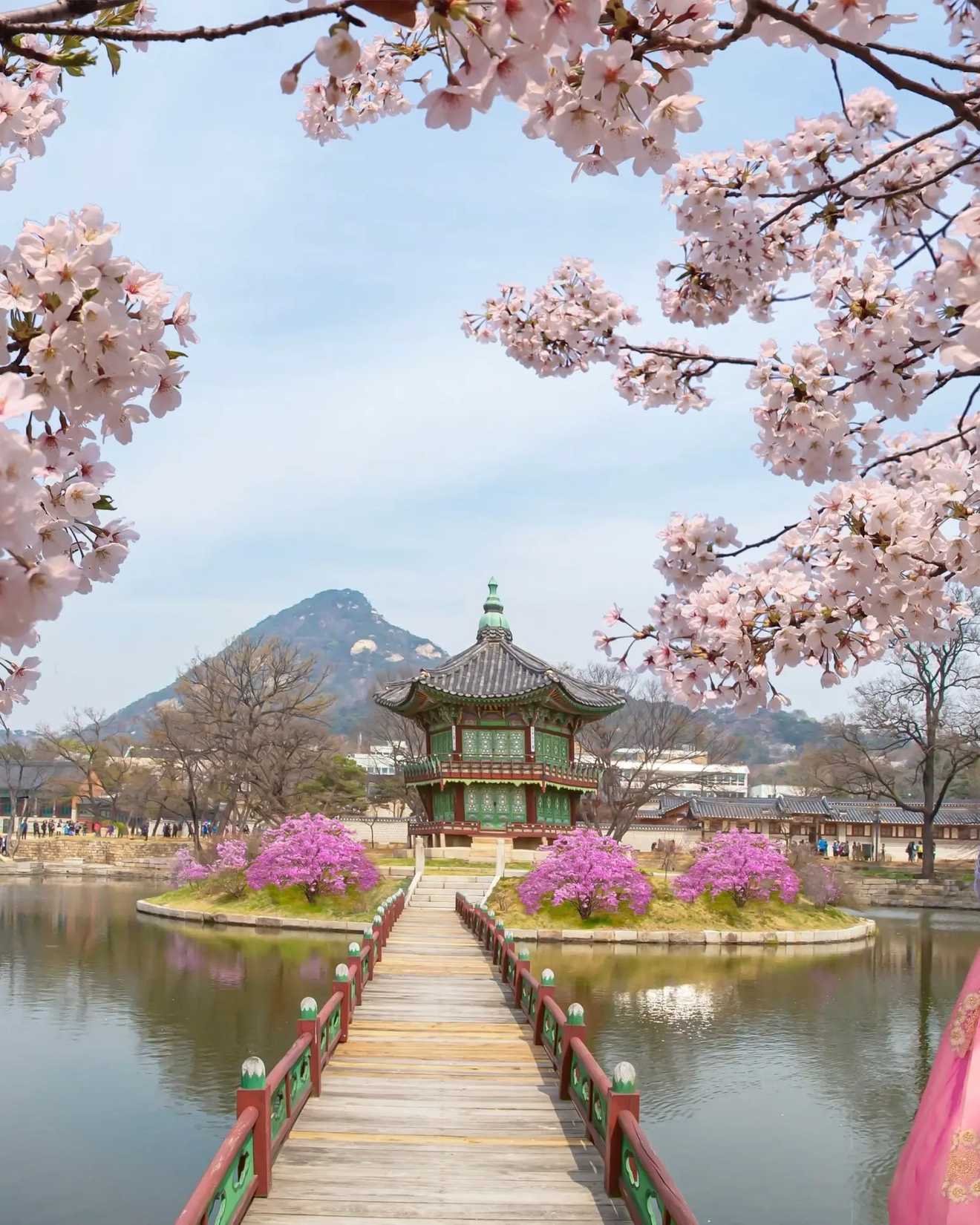 Dua orang mengenakan pakaian hanbok tradisional menghadap ke Paviliun Hyangwonjeong di Istana Gyeongbokgung di Seoul dikelilingi air dengan bunga sakura di atasnya. Kredit gambar: stock.adobe.com