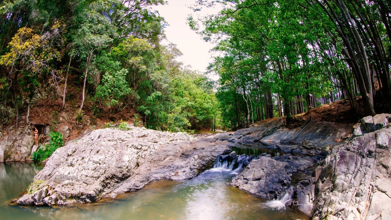 Water flowing over rocks into pools surrounded by greenery at Currumbin Rock Pools. Image credit: Destination Gold Coast