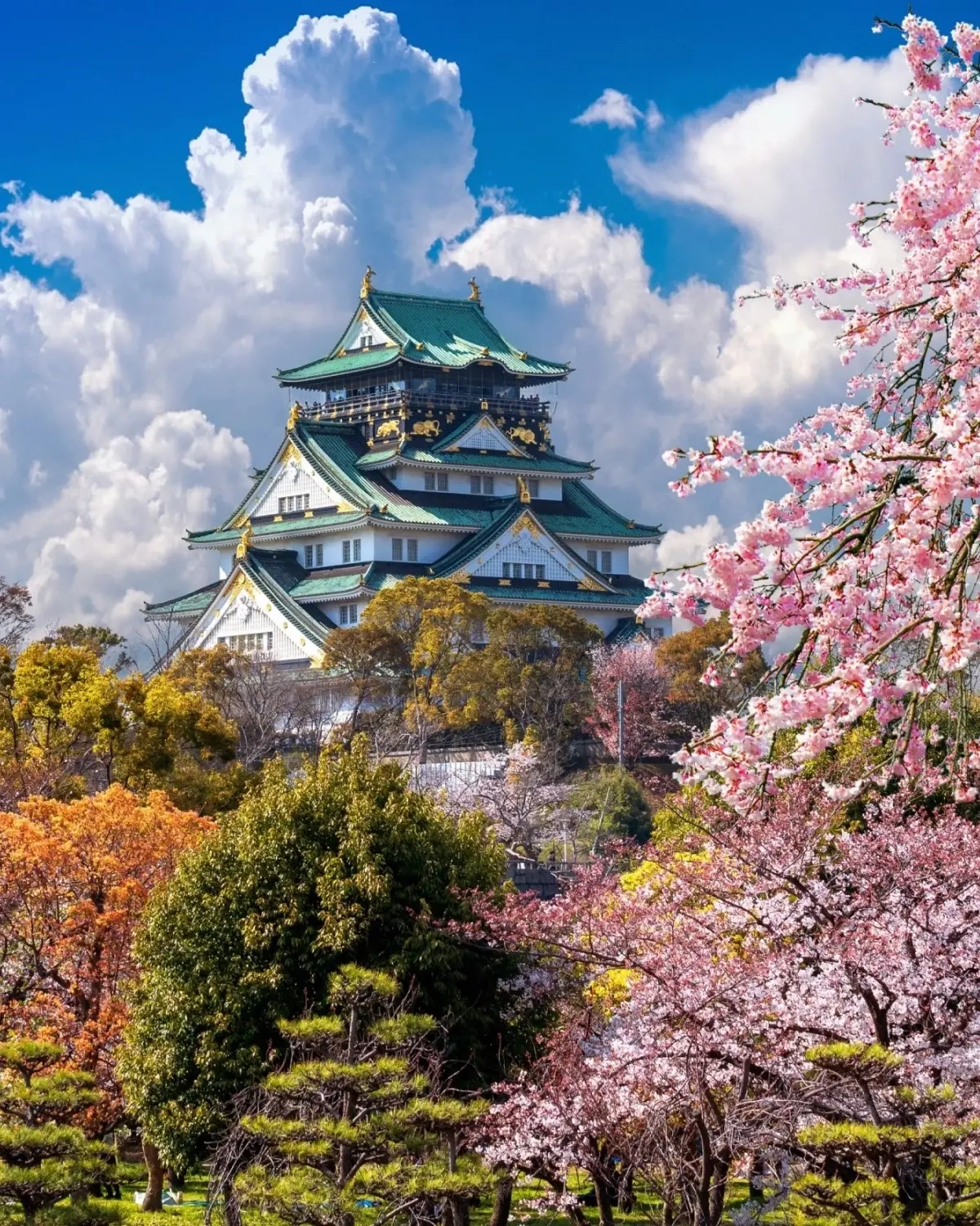 ふんわりした白い雲、青空、秋の木々と桜の花、地平線にそびえ立つ大阪城。画像クレジット：stock.adobe.com