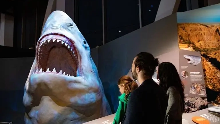 Family looking at megalodon at WA Museum Booka Bardip. Image credit: Michael Haluwana, Aeroture