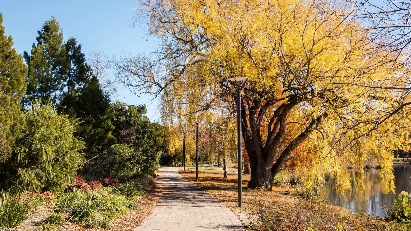 Walking track at Canberra's Lake Burley Griffin with autumnal trees and greenery alongside the track.