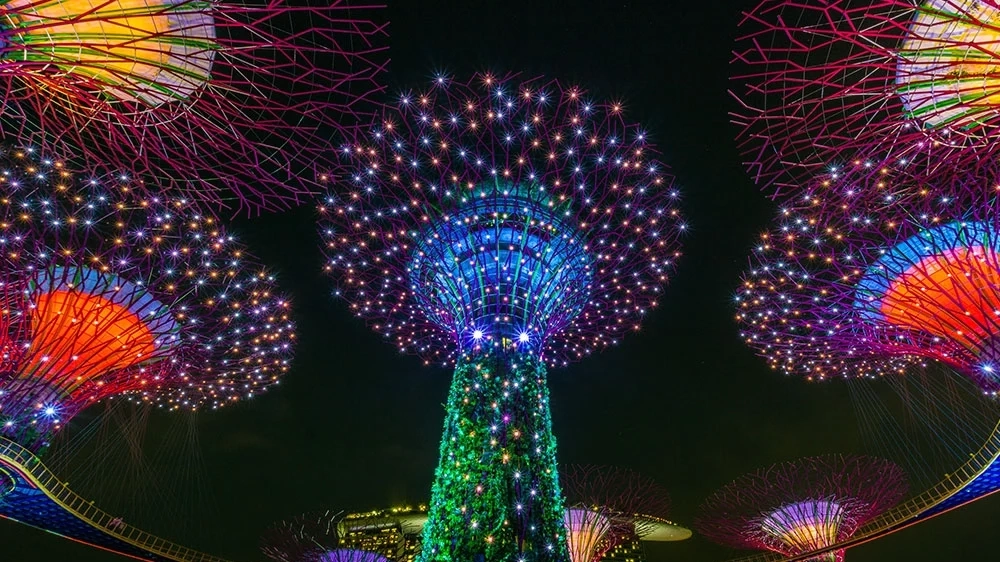 Supertrees at Gardens By The Bay