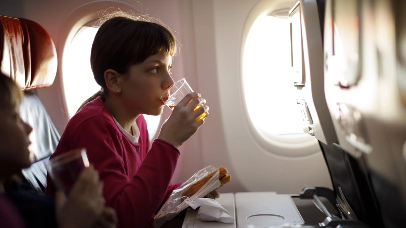 Young girls having meal on board of plane. Image credit: iStock