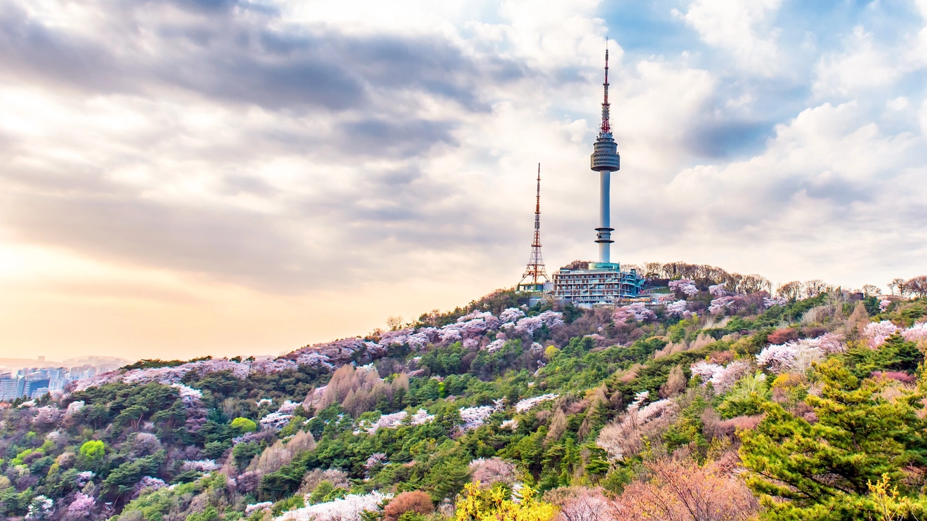 N Seoul Tower surrounded by trees and spring foliage, Seoul, South Korea. Image credit: stock.adobe.com