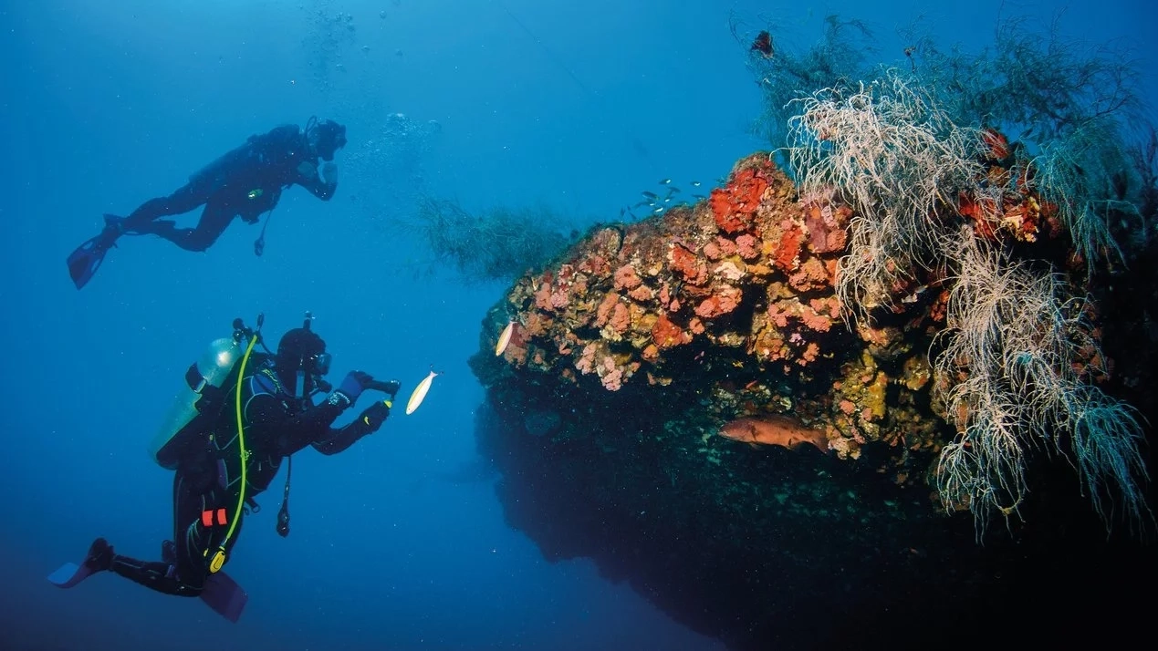 Divers underwater at the S.S. Yongala dive site. Image credit: Townsville Enterprise/Achim Wetz