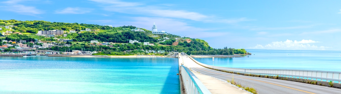 東京⇄高松Jetstar往復航空券（往路3/29復路4/1）をお譲りします（名義・日程変更対応可） Jetstar 高松-東京(成田)線1日最大3往復好評運航中