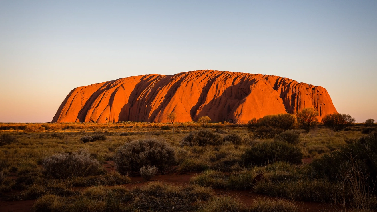 Uluru berwarna jingga dan merah dengan kanguru, rumput, dan semak belukar di latar depan. Kredit foto: Tourism NT/Kate Flowers