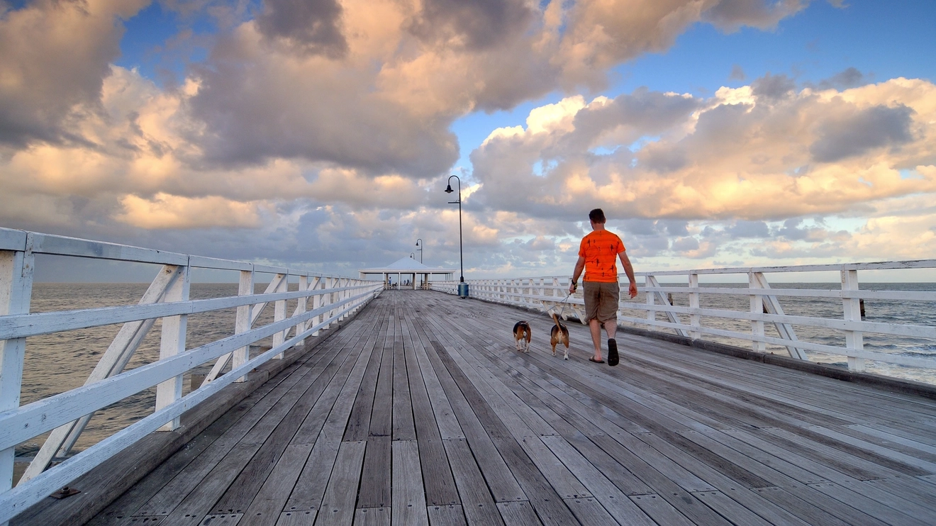 A person walks with their dogs along the timber boards of Shorncliffe Pier, Brisbane. Image credit: Shutterstock