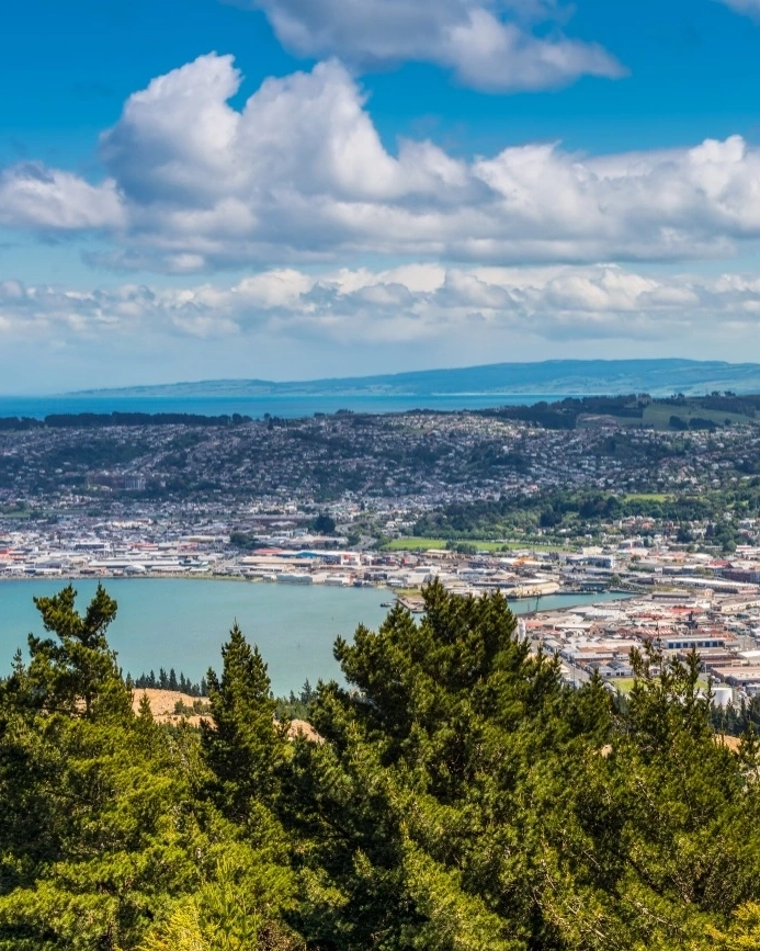 View of Dunedin, its harbour and surrounding hills, from the peak of Signal Hill, New Zealand. Image credit: stock.adobe.com