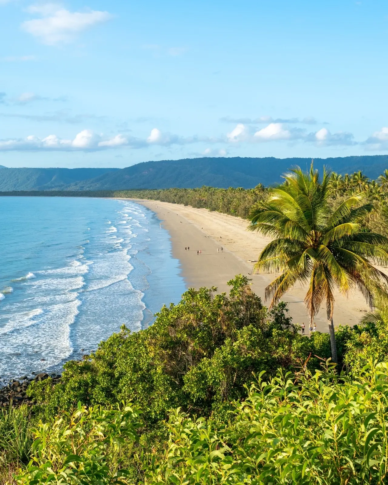 Pemandangan udara orang-orang di pantai berpasir putih dengan perairan biru dan ombak lembut, dan pegunungan di latar belakang saat matahari terbit, Port Douglas, Tropical North Queensland. Kredit foto: Tourism and Events Queensland
