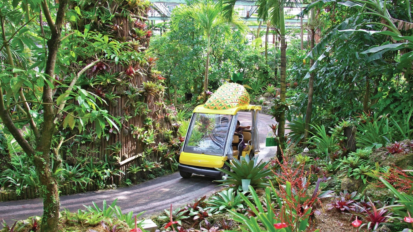Pineapple cart makes its way through the jungly surrounds of Nago Pineapple Park, Okinawa, Japan. Image credit: ©Okinawa Convention & Visitors Bureau
