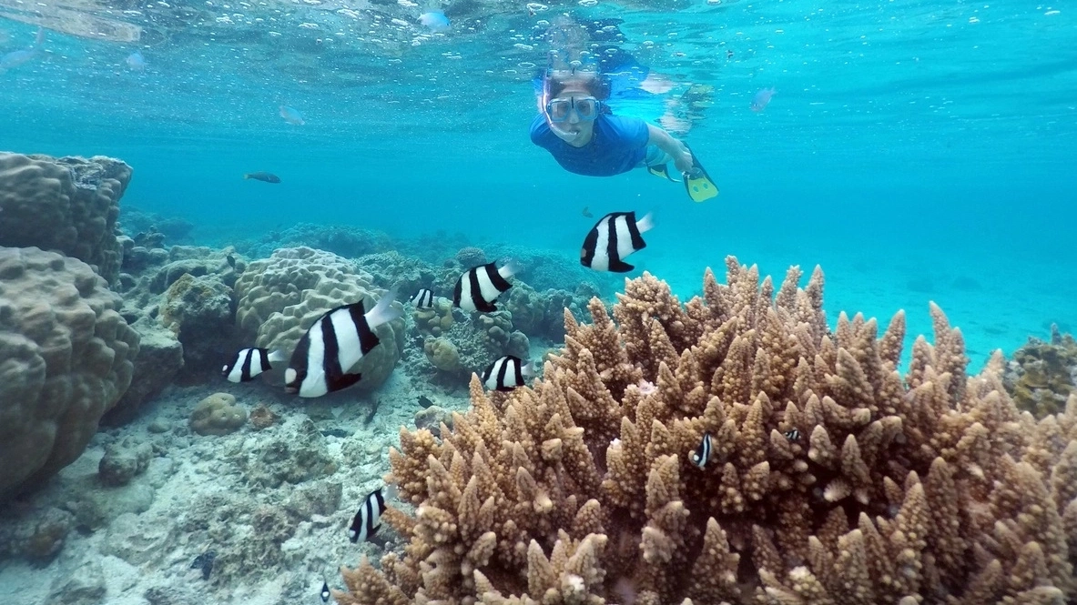 Best things to do in Rarotonga | Jetstar