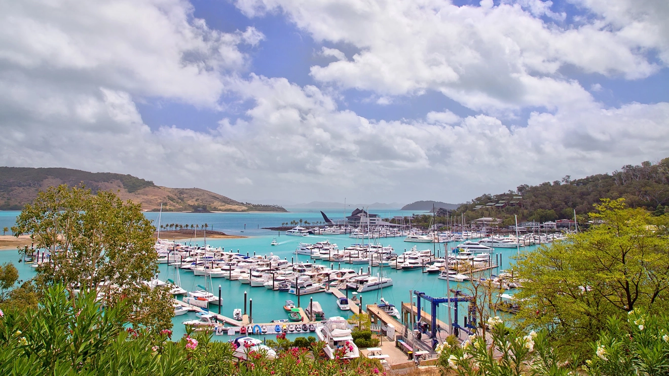 Luxury boats berthed at Hamilton Island Marina, Whitsunday Coast, Queensland. Image credit: stock.adobe.com