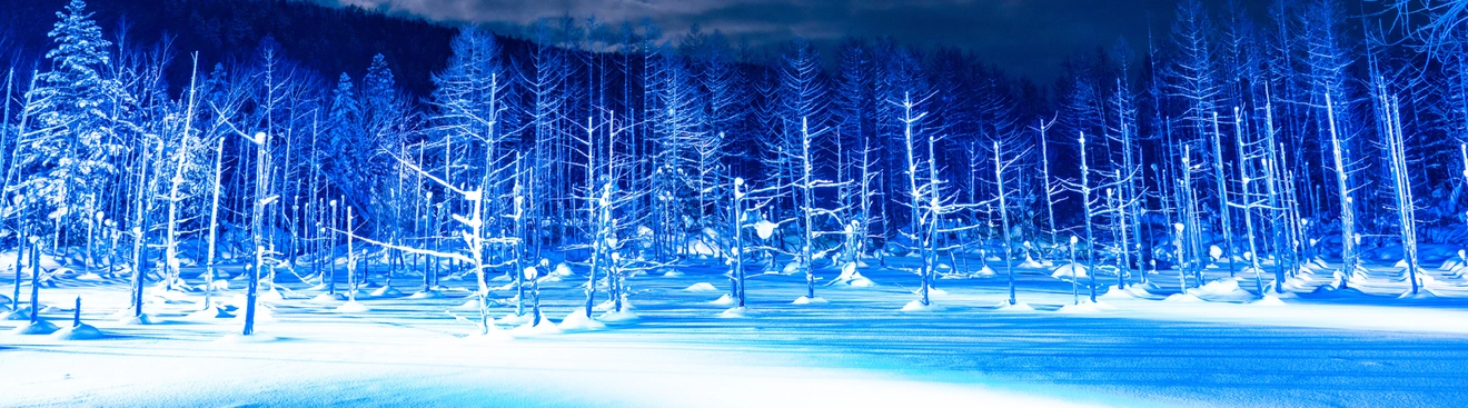 格安航空券 | 飛行機 予約 | 最低価格保証 | ジェットスター