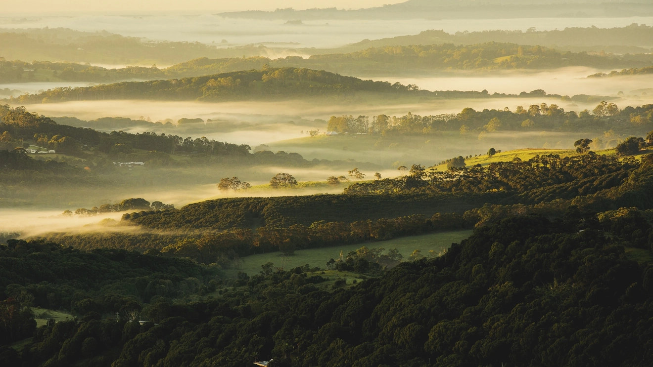 Aerial view of misty green rolling hills in Byron Bay's hinterland. Image credit: Destination NSW