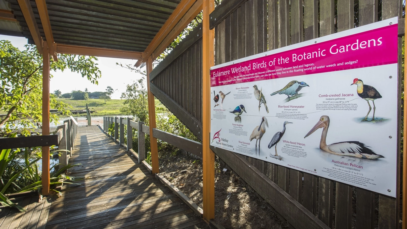 Sign displaying wetlands birds of the Botanic Gardens on boardwalk in Mackay Regional Botanic Garden. Image credit: Tourism and Events Queensland/Brooke Miles