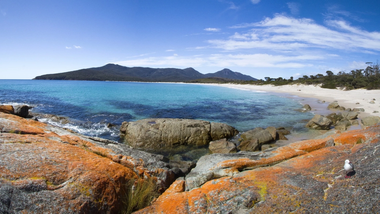 A picture of a coastal shore.
