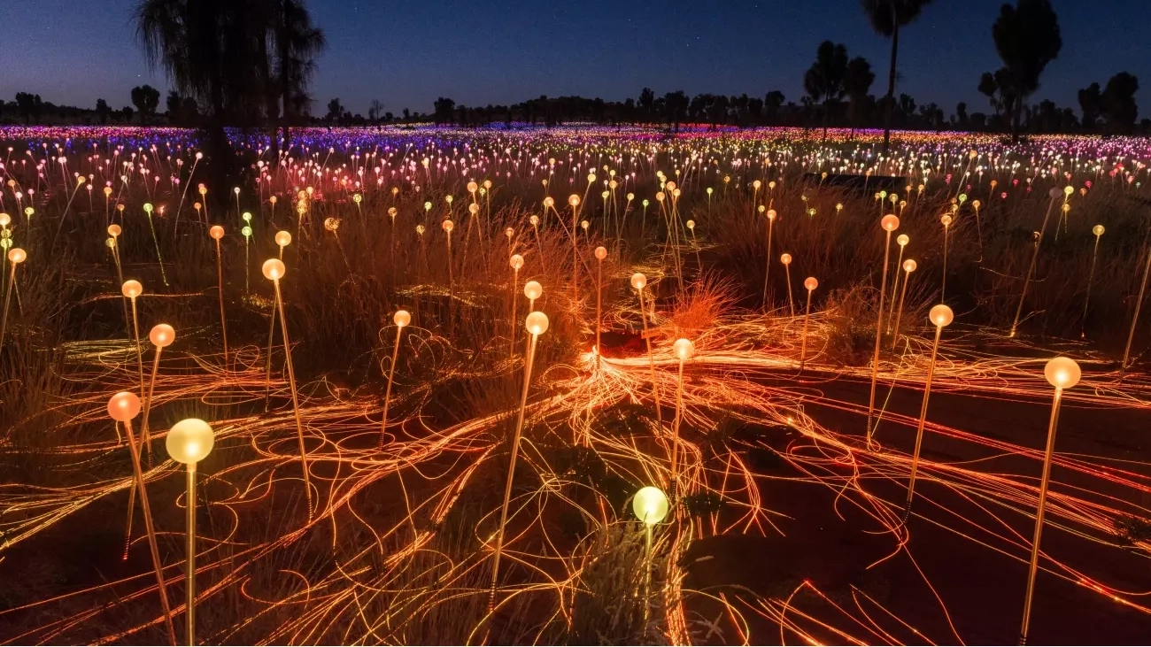 Bruce Munro’s Field of Light exhibition, with close-up of light spindles in the foreground and thousands of spindles in the background, spreading to the horizon. Image: Tourism NT/Matt Glastonbury