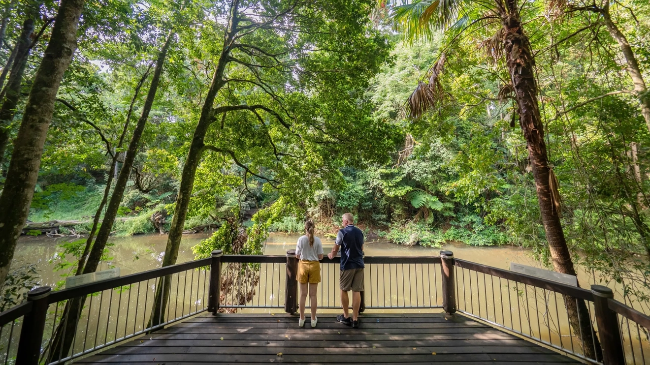 Back view of a couple looking out onto a river from a platypus viewing platform. Image credit: Tourism and Events Queensland