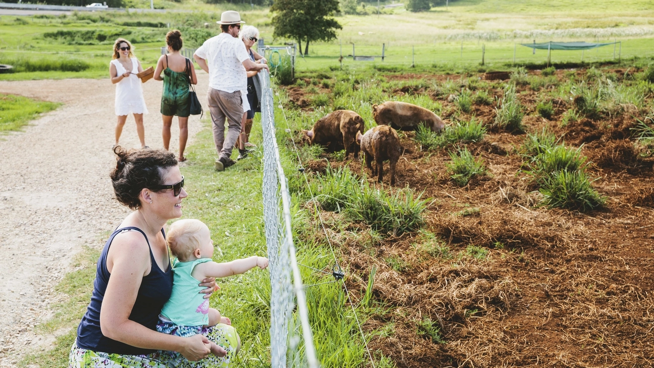 A woman holds a child on her lap on the grass at the Farm, with people looking at animals in the background. Image credit: Destination NSW