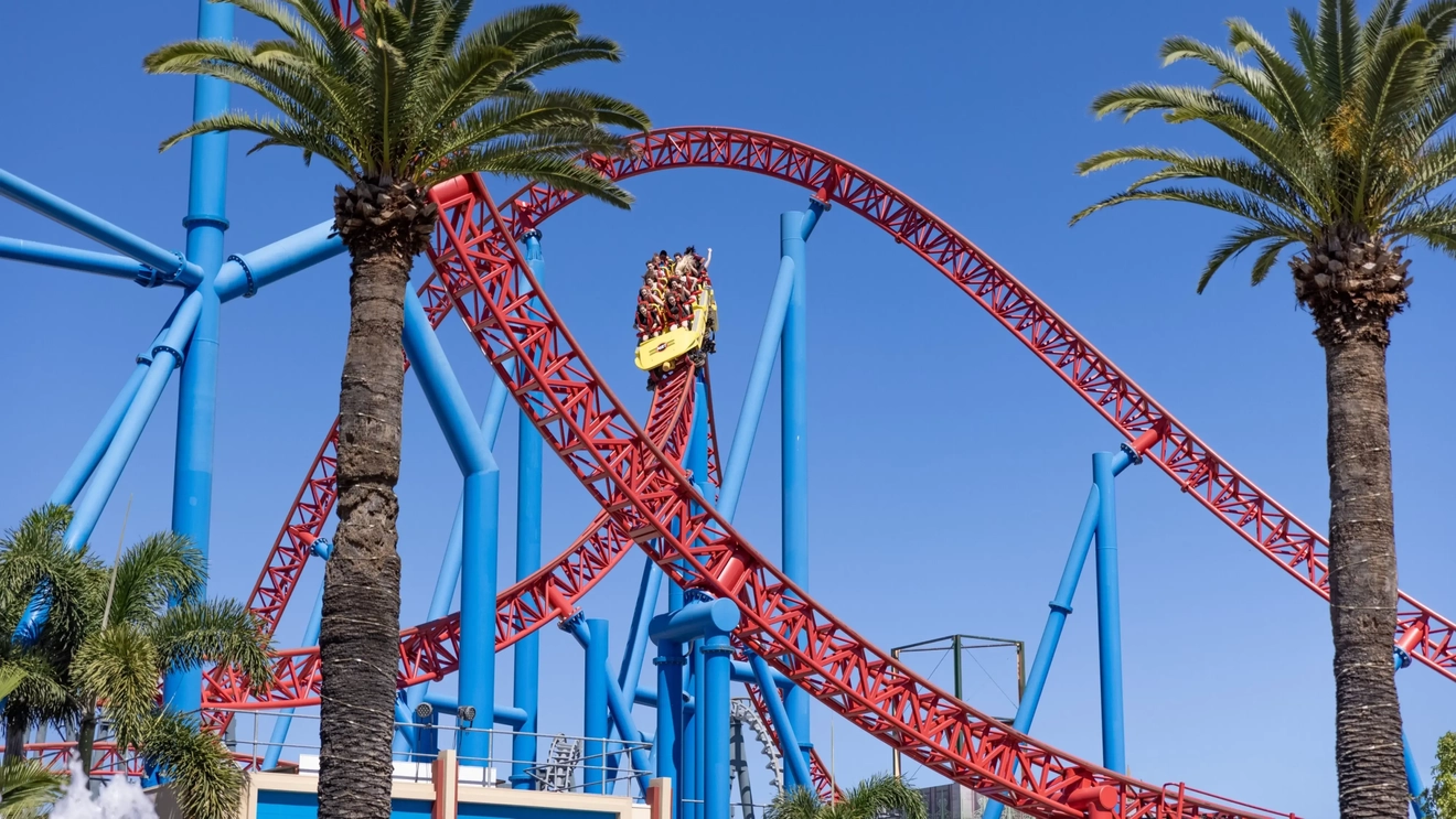 A bright red rollercoaster with people in a yellow carriage against a blue sky with palm trees in the foreground at Warner Bros. Movie World. Image credit: Tourism and Events Queensland